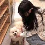 独步苍穹官方